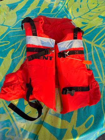 Type 1 PFDs 1