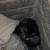 Lost Dog 5 thumbnail