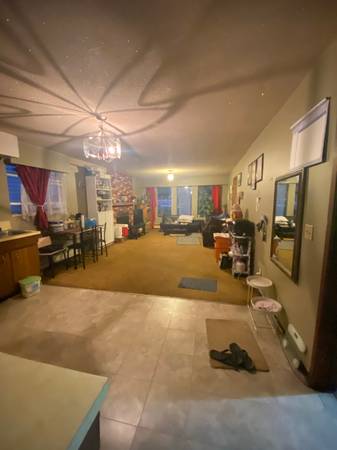 Convenient Suite 1
