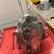Triumph Pre-Unit Frame and Engine Parts 21 thumbnail