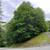 Build Your Home in Riverwood 1.42 Acre Lot 10 thumbnail