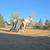 Spotted Draft Gelding 7 thumbnail
