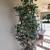 9’ custom willow tree. 2 thumbnail