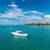 2019 Everglades 7 thumbnail
