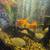 36-GALLON BOW FRONT AQUARIUM W/ FISH AND LOTS OF EXTRAS! 23 thumbnail