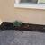 Assorted desert plants with cactus 6 thumbnail