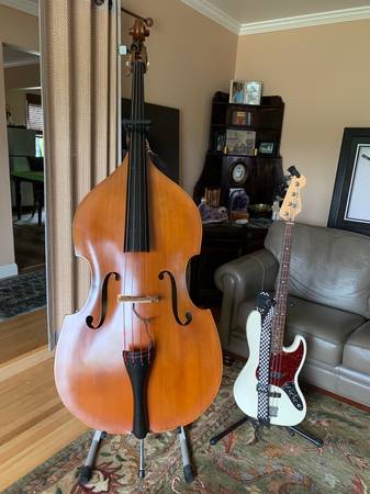 Bass Player available (concord / pleasant hill / martinez)