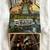 Vintage Florida Postcards 7 thumbnail