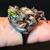 Morganite Stone Snake Ring in Oxidized Silver and 24K Gold 2 thumbnail