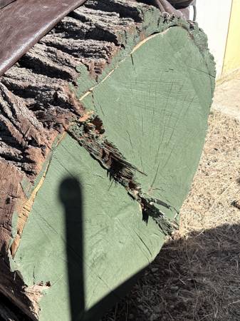 Premium 31" Black Walnut Log (9ft) – Perfect for Slabs, Furniture, or