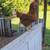 2 awesome pet chickens ( hens). 1 thumbnail