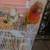 Conures 7 thumbnail