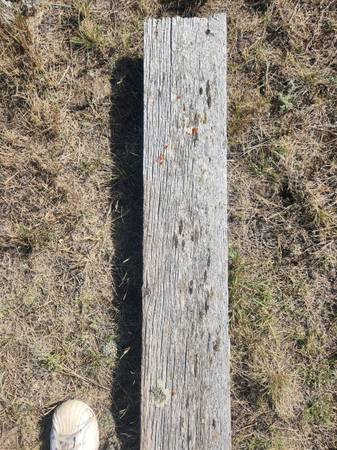 Old Barn Wood 1