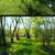2 acres for rent 1 thumbnail
