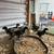 Chickens 5 thumbnail