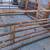 Cattle catch pen 1 thumbnail