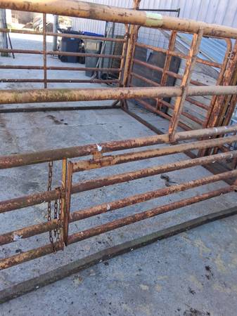Cattle catch pen 1