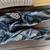 Fox motorcycle pants 1 thumbnail