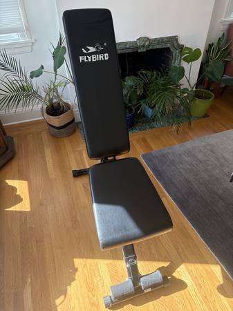 Flybird adjustable weight bench 1