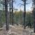 Secluded 10-Acre Off-Grid Retreat in Box S Ranch — Ramah, New Mexico 18 thumbnail