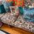 Furniture 17 thumbnail