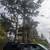Need tree limbs cut up high 2 thumbnail