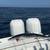 34 Wellcraft SCARAB private fishing charters 7 thumbnail