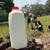 Goat colostrum 1 thumbnail