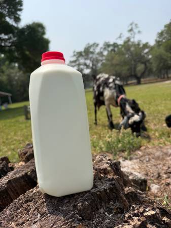 Goat colostrum 1