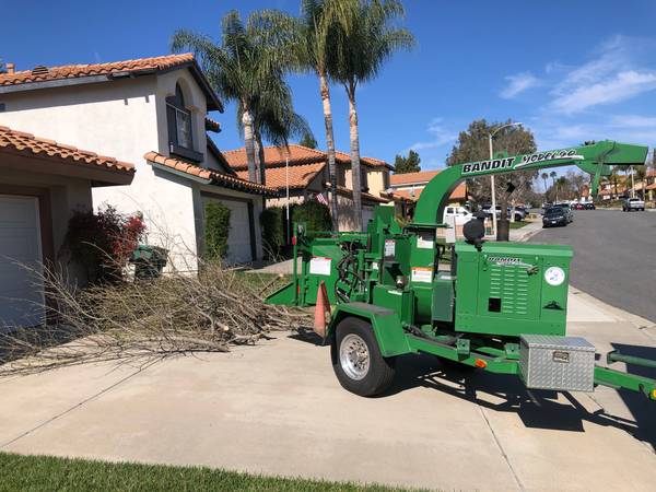 Eco Legacy Tree service*Tree removal  & STUMP Grinding 1
