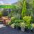 NW Native Trees & Shrubs 22 thumbnail