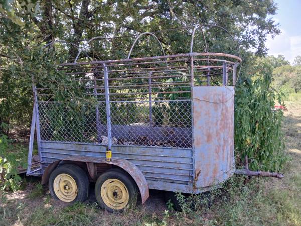 Horse 🐎 Trailer 1