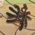 Spider Web 4' Metal with 3D Motion Spiders Variable Speed. BOX IS VERY 3 thumbnail