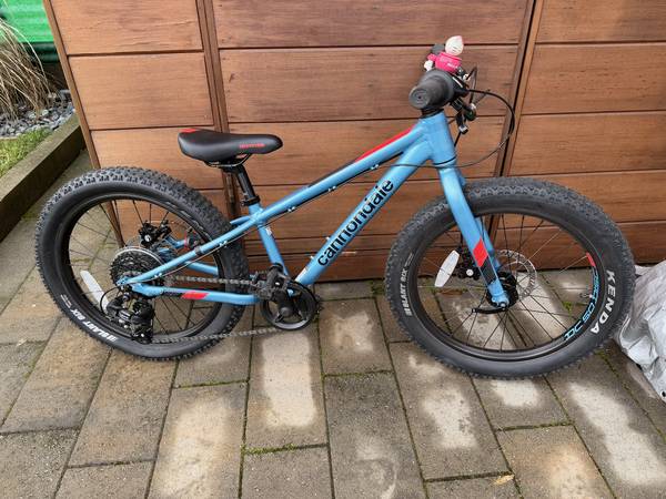 Cannondale Cujo 20+ Kids' Mountain Bike 1
