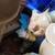 Rare 1970's THREE LITTE PIGS MUSICAL CERAMIC!! Works Perfectly!! Disne 8 thumbnail