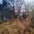 Branson waterfront building lot 5 thumbnail