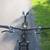 Mongoose- Impasse HD 29", 21 Speed Mountain Bike 5 thumbnail