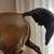 Bronze PJ Mene Horse Sculpture 6 thumbnail