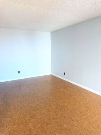 All-Inclusive 1 Bed Condo, 20th Floor, Balcony + River View, Pool & Gym 2