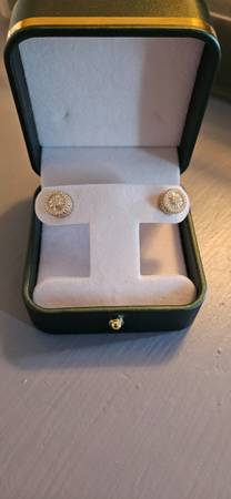 Beautiful earrings 1