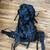 Jandd Mountaineering backpacking backpack 1 thumbnail