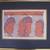 LUCEBERT COBRA DUTCH SILKSCREEN HAND SIGNED FRAMED 1 thumbnail