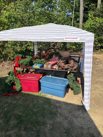 Large estate sale, photo 4