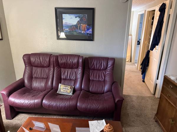 Recliner sofa 1