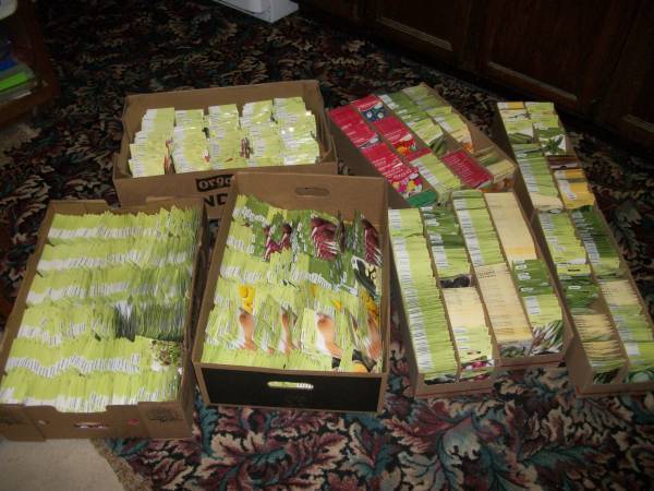 5000 Vegetable Seeds Seed - Regular, Organic, Heirloom -3 Packs for $1 1