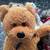 Bear Collection 5 Cute Little Guys TY Boyds etc  All used as display o 13 thumbnail