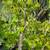 Mature Succulents For Landscaping 16 thumbnail