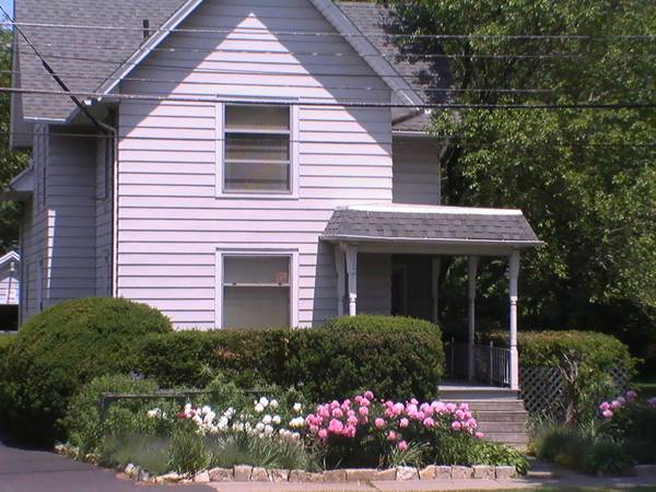Need Help With Yardwork in North Downtown Lansing 1