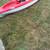 Kayak 3 thumbnail