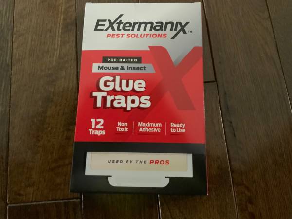 Glue traps 1